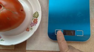 Сорт томата Дворцовый.