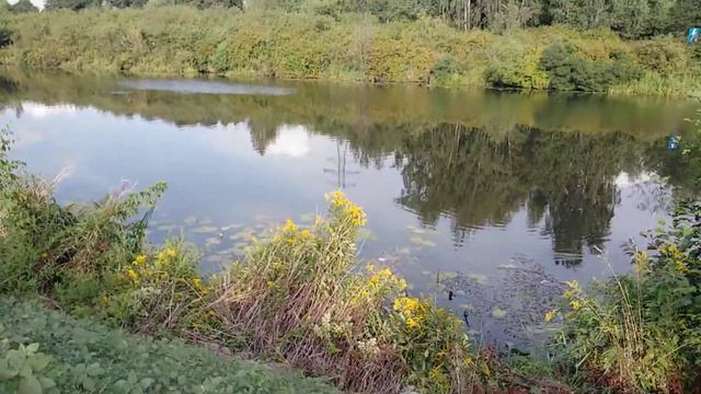 Я В Польше! смотреть онлайн