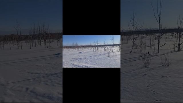 Шармакс сн-550 обкатка. смотреть онлайн