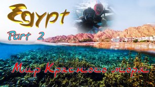 Египет. Часть 2. Мир Красного моря