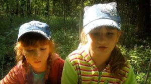 В лес по грибы.Какие грибы нашли Соня и Кира в начале  июля.