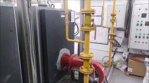 Котлы VIESSMANN VITOPLEX 200 SX2A-1100 с горелками Weishaupt WM-GL