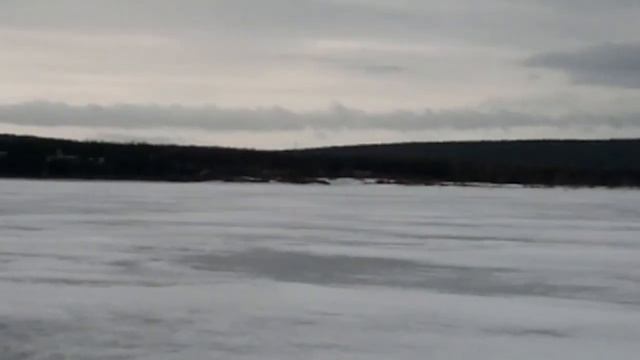 Корюшка на эхолоте
