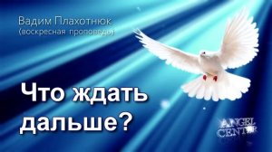 Вадим Плахотнюк Что ждать дальше