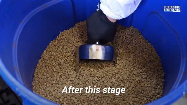 This is how your coffee made it to your table смотреть онлайн