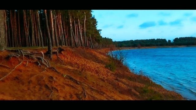 Калининград природа