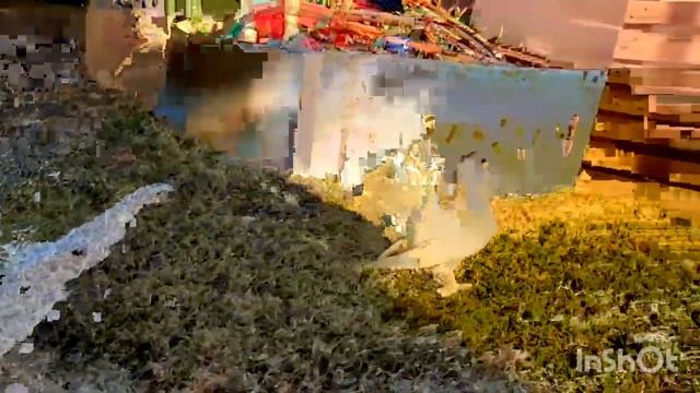 зовожу голубей в Турции, срочно нужны деньги! смотреть онлайн