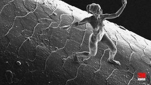 ТОП 5 Самых Маленьких Вещей в  Мире