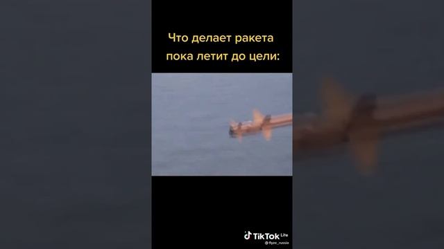 что делает ракета, пока летит до цели ?