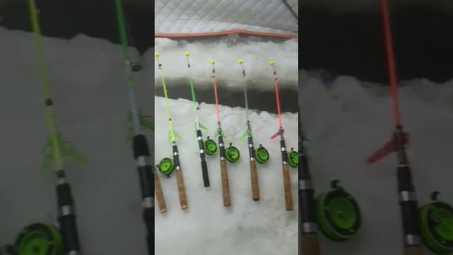 Анатолий в теме 😎😎😎ловля осетра👍👍👍 смотреть онлайн