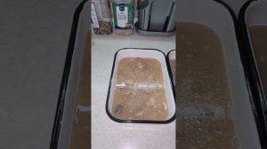 ЗАЛИВНОЕ ИЗ ГОЛОВ ПЕЛЕНГАСА