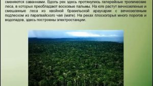 Бразилия. География 7 класс.