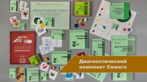 Диагностический комплект Семаго (чемодан психолога: альбом + методики)