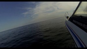 Nissan Seabreeze 500 Мотор 90 сил Обзор как катер ведет себя на воде во время штиля .