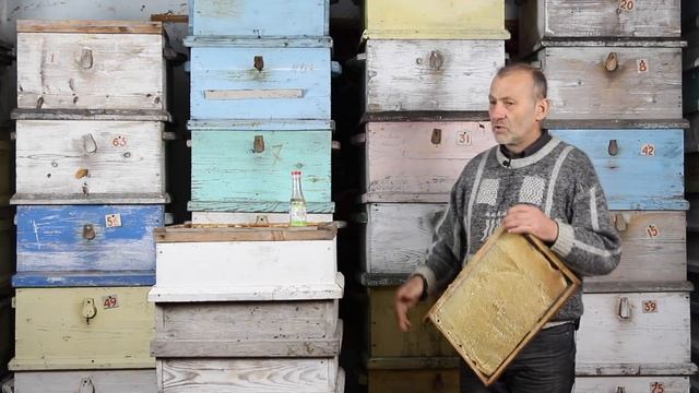 КАК СОХРАНИТЬ СУШЬ, СОТЫ ОТ ВОСКОВОЙ МОЛИ И МЫШЕЙ? ДЕЗИНФЕКЦИЯ РАМОК! смотреть онлайн