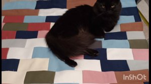 Из остатков футера