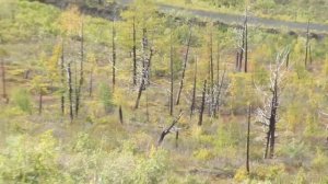 Норильск | Обзор города с горы "Отдельной" в Талнахе