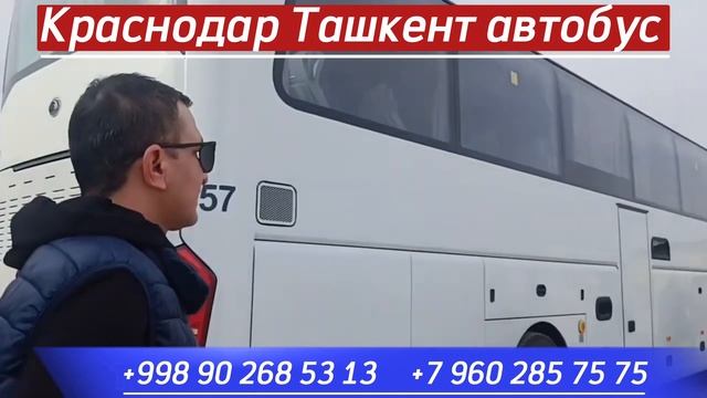 Краснодар Ташкент автобус #краснодар #автобус #автобус
