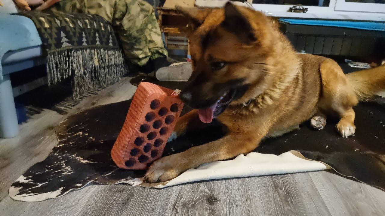 Yoll's добрый Stream. Вечерний общительный