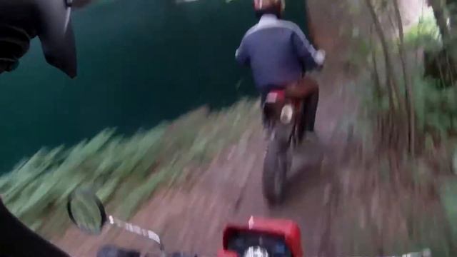 TTR и ЗиД наваливают по лесу смотреть онлайн