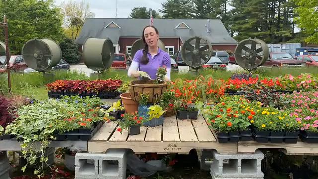 Thursdays in the Garden: Side Planted Hanging Baskets смотреть онлайн
