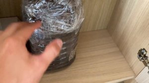 ОБЗОР ВСЕХ КОЛОНИЙ МУРАВЬЁВ ПОСЛЕ ПЕРЕЕЗДА: ИРИДОМИРМЕКСЫ, КАМПОНОТУСЫ \\ ВЛОГ \\ Димон и пумба