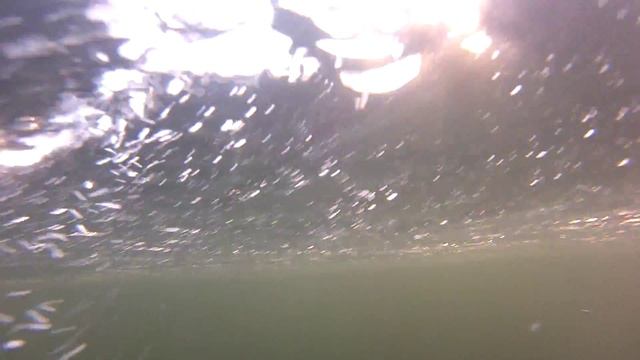 Щука под водой смотреть онлайн