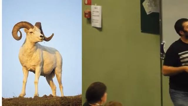 Ментальные ловушки в тестировании смотреть онлайн