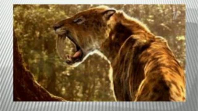 "Путешествие по страницам Красной книги!" смотреть онлайн