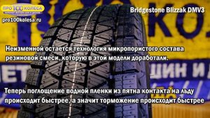 Обзор зимних шин BRIDGASTONE BLIZZAK DMV3