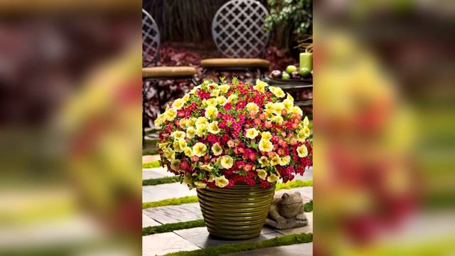 50 красивых идеи для дачи, дома и сада! DIY//50 Beautiful autumn garden and backyard ideas!