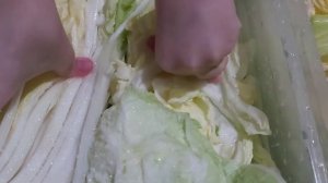 Чим чи из пекинской капусты.? Chim chi from Chinese cabbage.