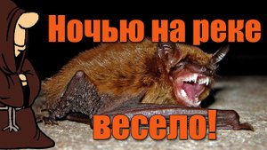 Ночная летняя рыбалка всегда интересная) Рыбалка на донки с берега, Сом, Голавль и летучая мышь