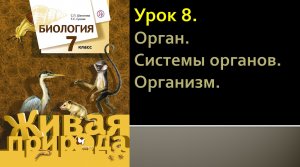 Урок 8. Орган. Системы органов. Организм