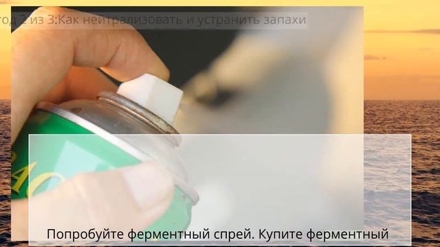 Как убрать запах разлитого в салоне автомобиля молока