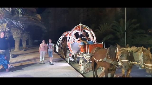 Парки Бизерты! Значение Жасмина в Тунисской культуре?! ВЕРБЛЮДЫ??! Вечерний отдых Тунисцев. смотреть онлайн