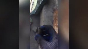 Замена распылителя на форсунке донг фенг 244