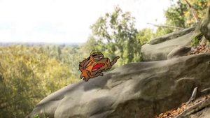 УДИВИТЕЛЬНЫЙ МИР ГАМБОЛА (ПЕСНЯ ИДУ ДОМОЙ)