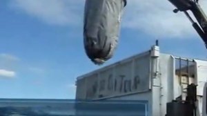 Работа мусоровоза с заглубленными контейнерами