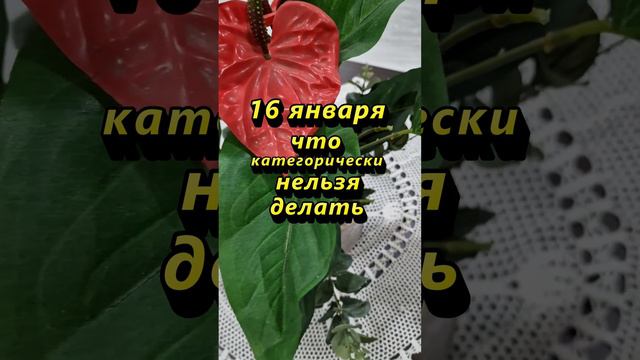 16 января что категорически нельзя делать