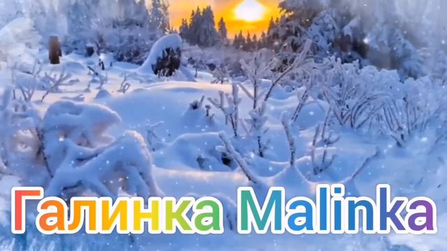 Ольга Уралочка live /Сколько можно? /Обзор Влогов /Уралочка и Сафар /