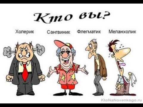 Ваш тип - харизматик или прагматик? Как узнать? В чем особенности темперамента и энергетики?