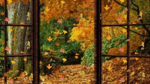 Осенняя мелодия очень красивая музыка    Melody of autumn very beautiful music