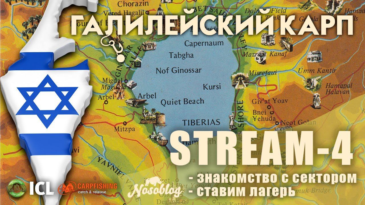 Галилейский карп 2020 (карпфишинг), стрим - 4