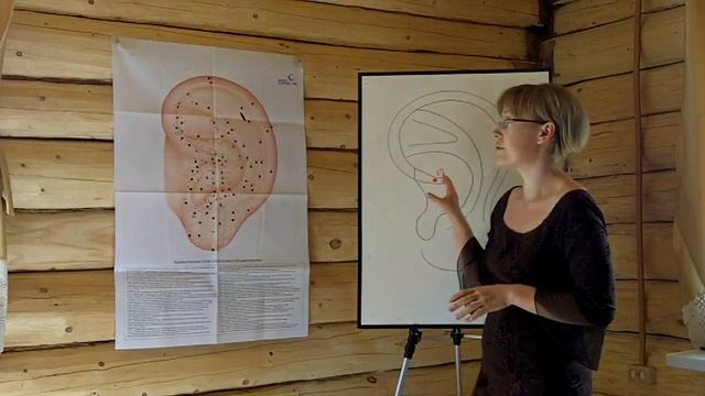 13 АТ 82 диафрагма, поиск, применение. Школа по Аурикулотерапии смотреть онлайн