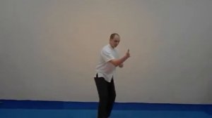 Тайцзи цюань. 36 форм стиля Ян. 1 дорожка.