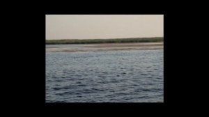 рыбалка на лимане в краснодарском крае.