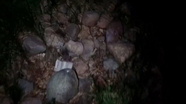 ОТДЫХ НА ПРИРОДЕ И РЫБАЛКА! смотреть онлайн