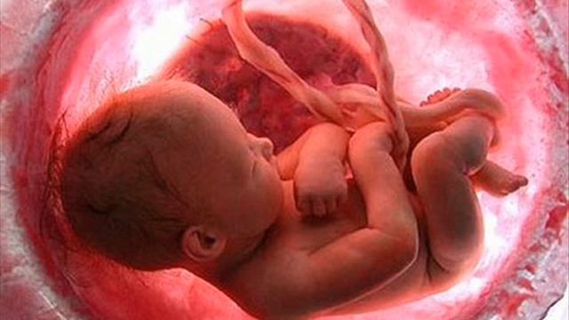 Graviditet Musik: MUSIC FOR ofödda barn смотреть онлайн