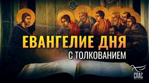 «ВЫ ВОСПЛАЧЕТЕ И ВОЗРЫДАЕТЕ, А МИР ВОЗРАДУЕТСЯ» / ЕВАНГЕЛИЕ ДНЯ